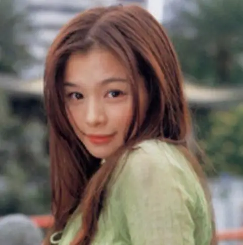 【写真33枚】ビビアン・スーの若い頃（昔）から現在までがかわいい！比較検証してみた！ - 芸能人の恋愛・結婚事情探偵